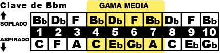 gama media